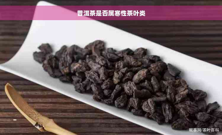 普洱茶是否属寒性茶叶类