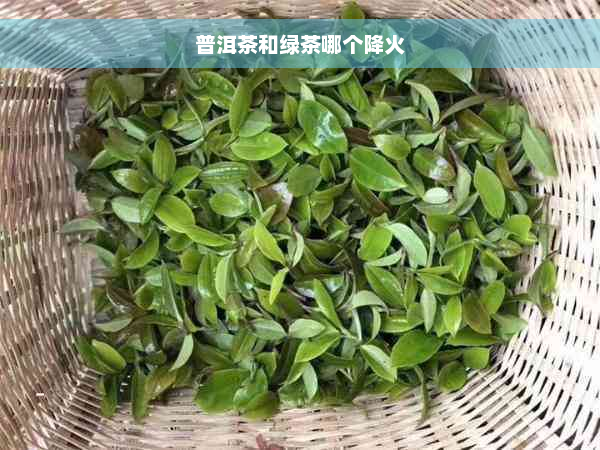 普洱茶和绿茶哪个降火