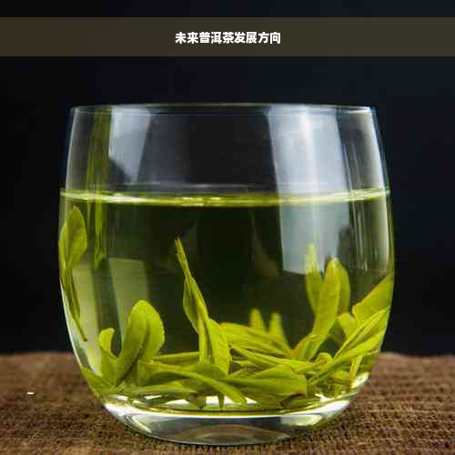 未来普洱茶发展方向