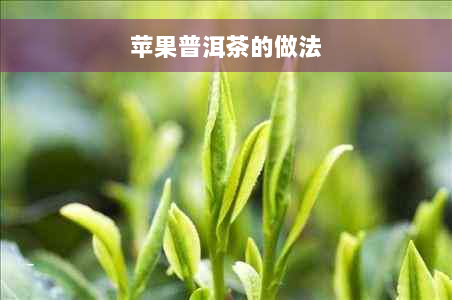 苹果普洱茶的做法