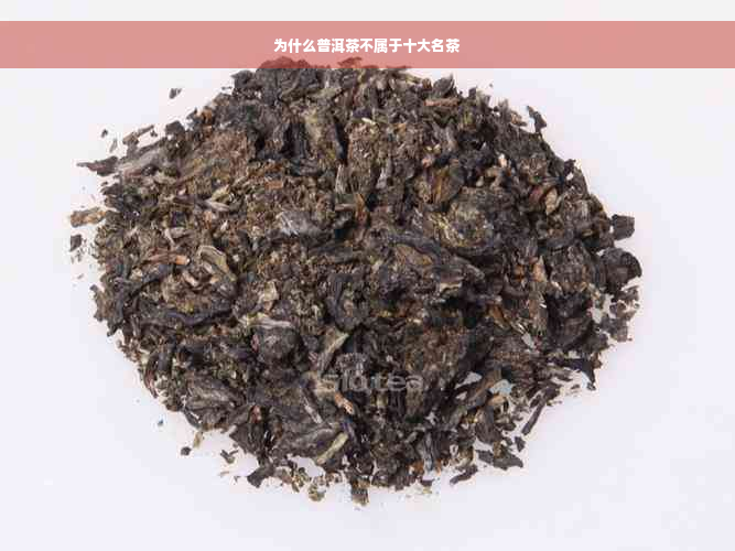 为什么普洱茶不属于十大名茶