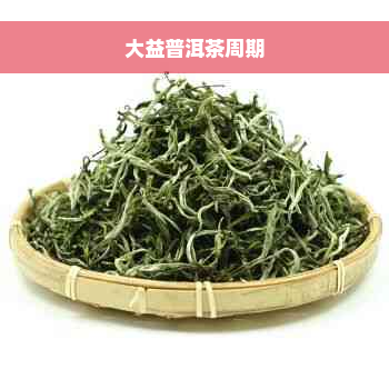 大益普洱茶周期