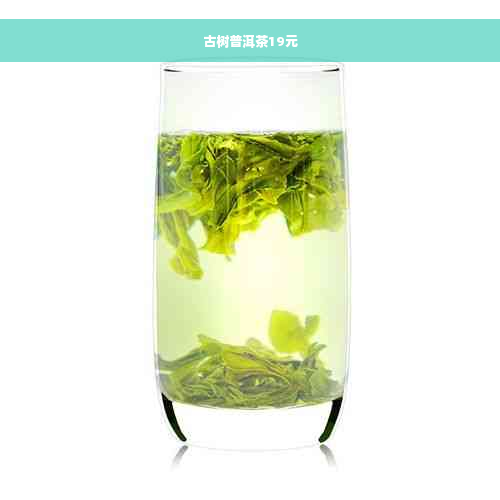 古树普洱茶19元