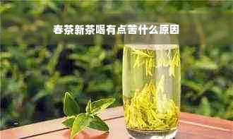 春茶新茶喝有点苦什么原因