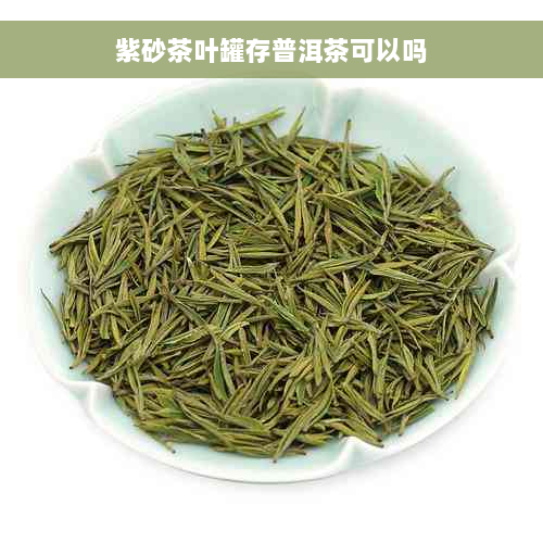 紫砂茶叶罐存普洱茶可以吗