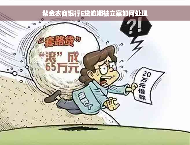 紫金农商银行E贷逾期被立案如何处理