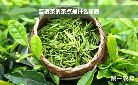 普洱茶的茶点是什么意思