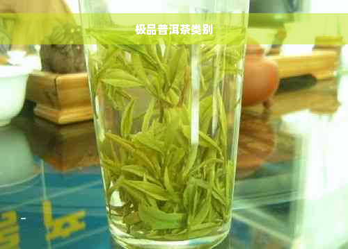 极品普洱茶类别