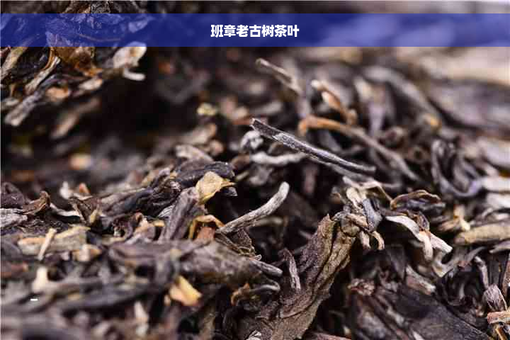 班章老古树茶叶