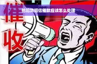 拍拍贷短信催款应该怎么处理