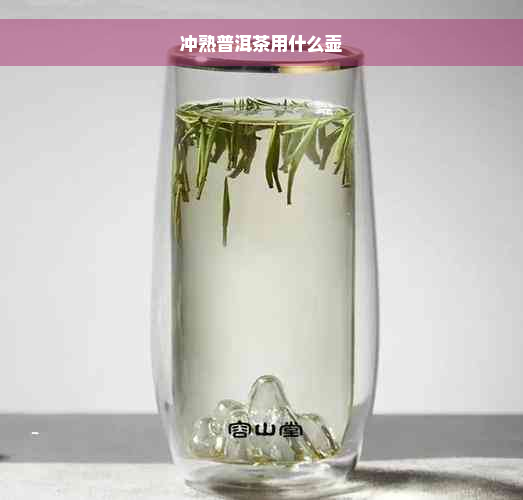 冲熟普洱茶用什么壶