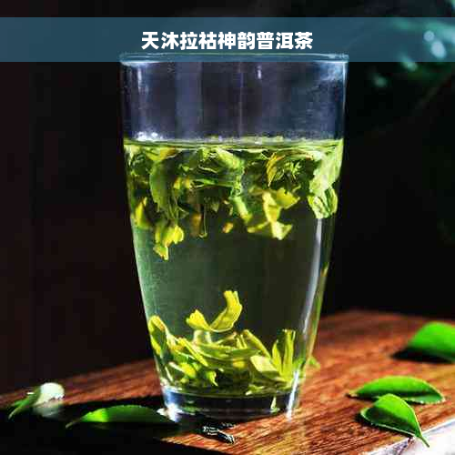 天沐拉祜神韵普洱茶