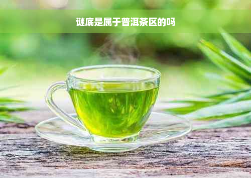 谜底是属于普洱茶区的吗