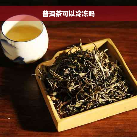 普洱茶可以冷冻吗