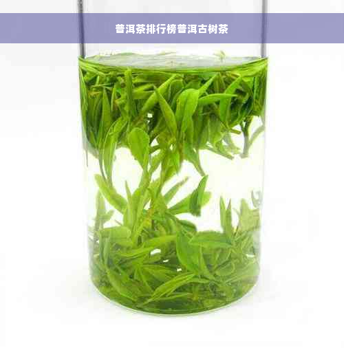 普洱茶排行榜普洱古树茶