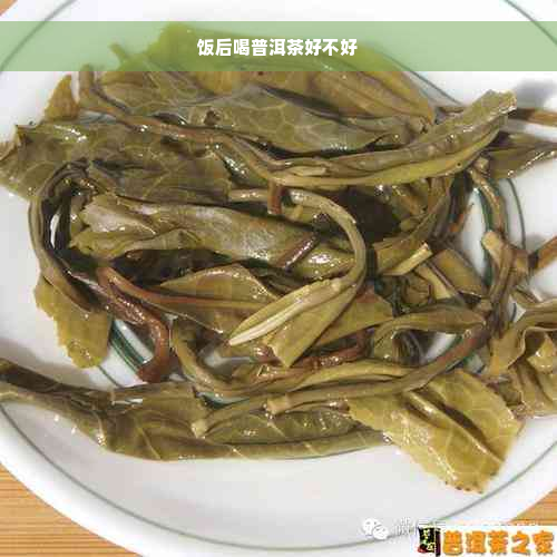 饭后喝普洱茶好不好