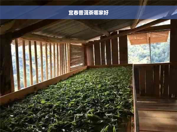 宜春普洱茶哪家好