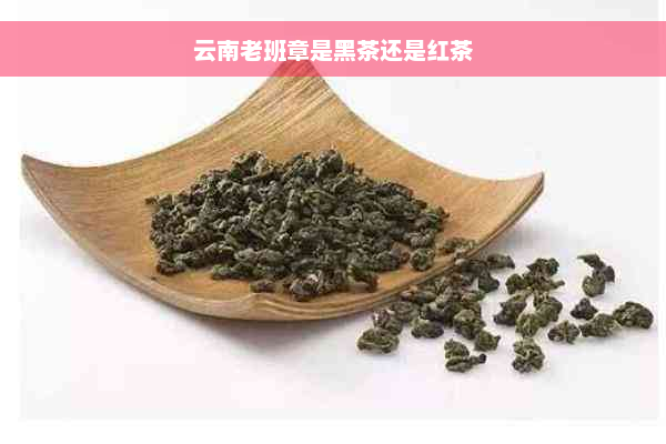 云南老班章是黑茶还是红茶