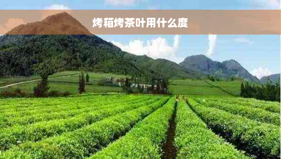 烤箱烤茶叶用什么度