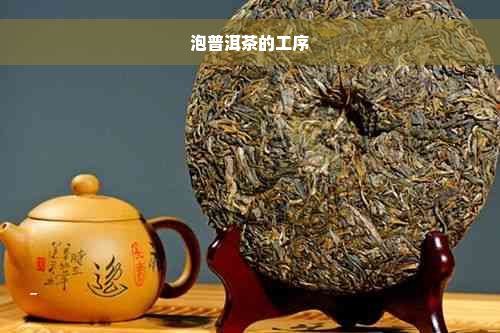 泡普洱茶的工序