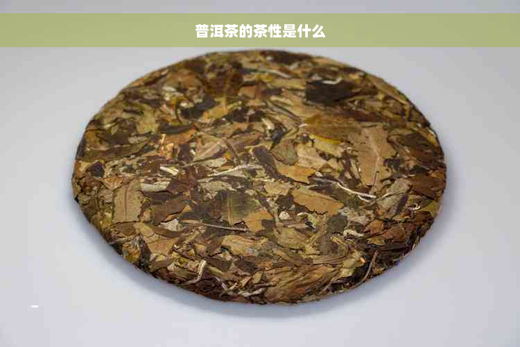 普洱茶的茶性是什么