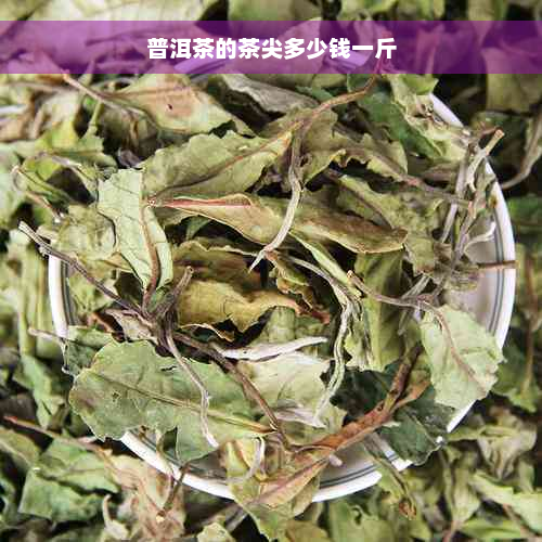 普洱茶的茶尖多少钱一斤