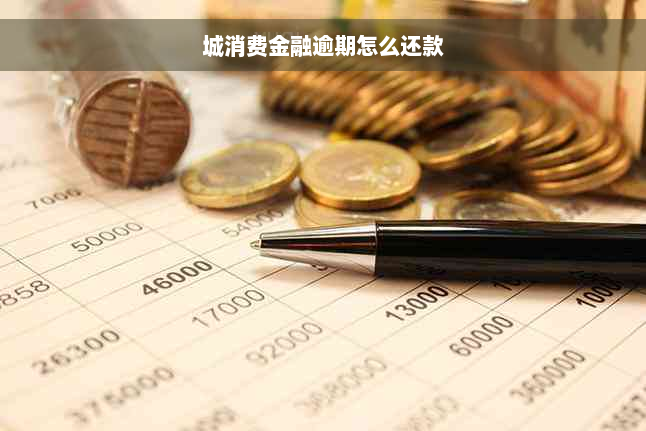 城消费金融逾期怎么还款