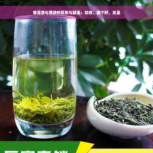 普洱茶与黑茶的区别与联系：功效、哪个好、关系