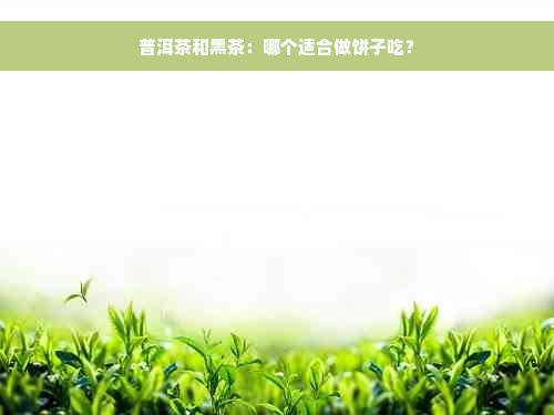 普洱茶和黑茶：哪个适合做饼子吃？