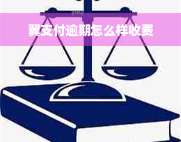 翼支付逾期怎么样收费