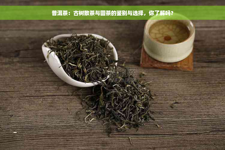 普洱茶：古树散茶与圆茶的鉴别与选择，你了解吗？