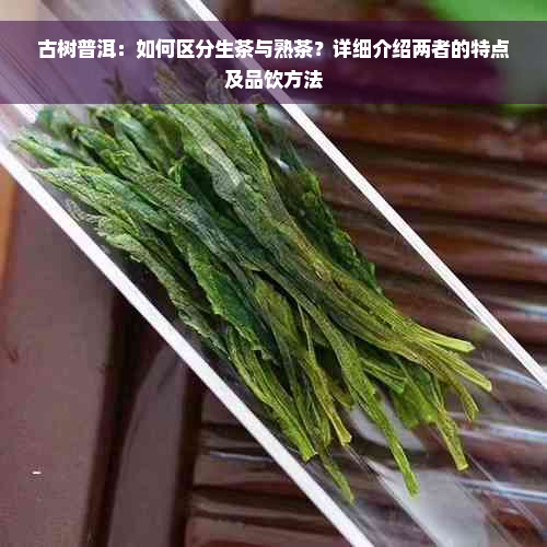 古树普洱：如何区分生茶与熟茶？详细介绍两者的特点及品饮方法