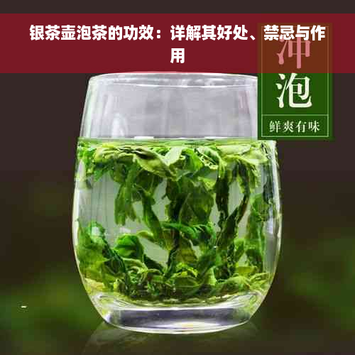 银茶壶泡茶的功效：详解其好处、禁忌与作用