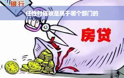 任性付催收是属于哪个部门的