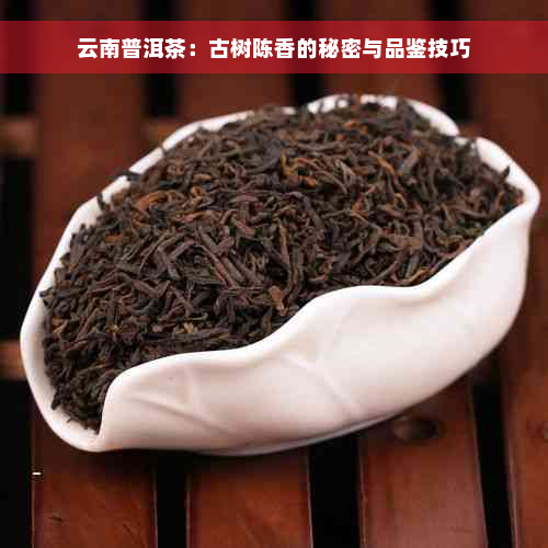 云南普洱茶：古树陈香的秘密与品鉴技巧