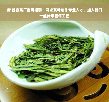 新 普春茶厂官网招聘：寻求茶叶制作专业人才，加入我们一起传承百年工艺