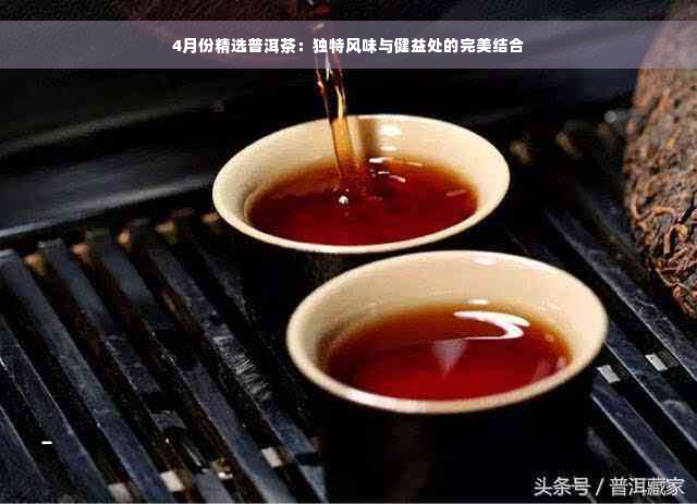 4月份精选普洱茶：独特风味与健益处的完美结合