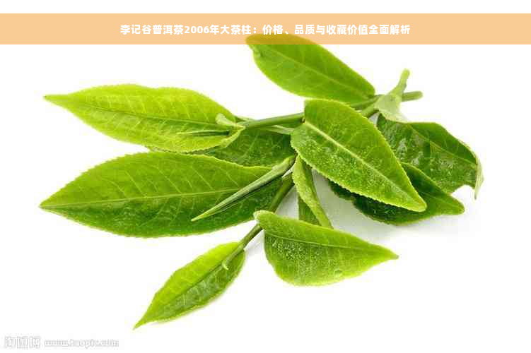 李记谷普洱茶2006年大茶柱：价格、品质与收藏价值全面解析