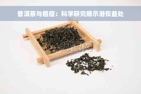 普洱茶与癌症：科学研究揭示潜在益处