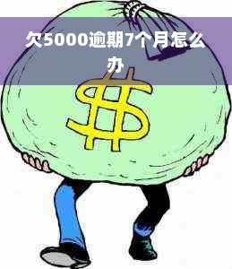 欠5000逾期7个月怎么办