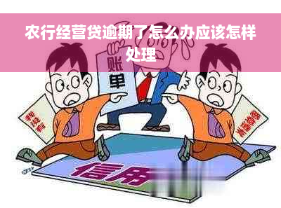 农行经营贷逾期了怎么办应该怎样处理