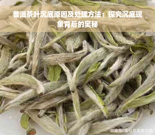 普洱茶叶沉底原因及处理方法：探究沉底现象背后的奥秘