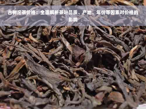 古树沱茶价格：全面解析茶叶品质、产地、年份等因素对价格的影响