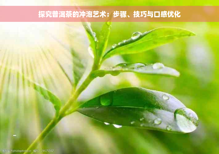 探究普洱茶的冲泡艺术：步骤、技巧与口感优化