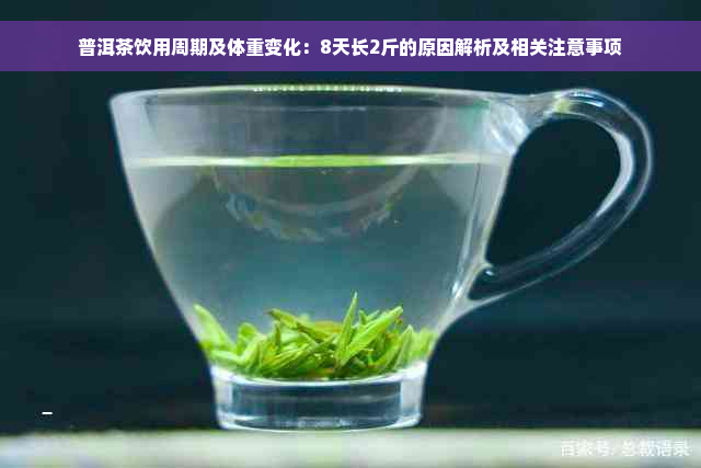 普洱茶饮用周期及体重变化：8天长2斤的原因解析及相关注意事项