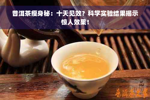 普洱茶瘦身秘：十天见效？科学实验结果揭示惊人效果！