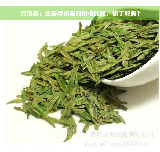 普洱茶：生茶与熟茶的价格比较，你了解吗？