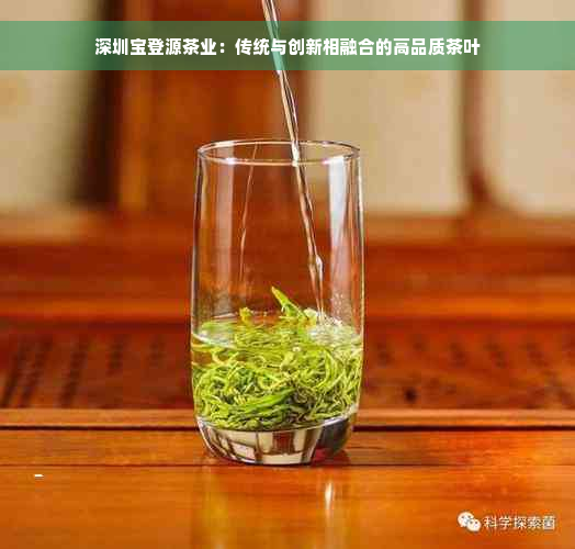 深圳宝登源茶业：传统与创新相融合的高品质茶叶