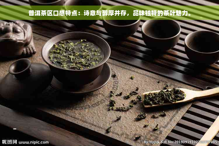 普洱茶区口感特点：诗意与醇厚并存，品味独特的茶叶魅力。