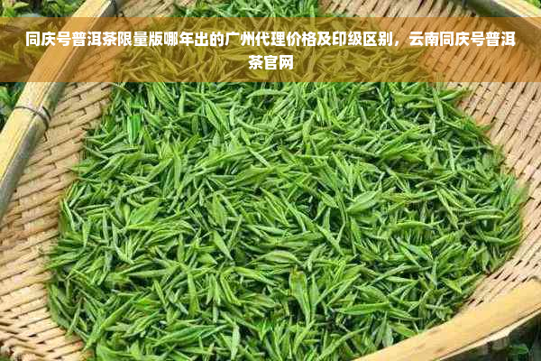 同庆号普洱茶限量版哪年出的广州代理价格及印级区别，云南同庆号普洱茶官网